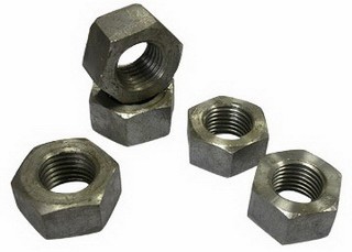 Coil Nut